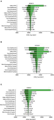 Cost-Effectiveness Analysis of Nivolumab Plus Ipilimumab vs. Chemotherapy as First-Line Therapy in Advanced Non-Small Cell Lung Cancer